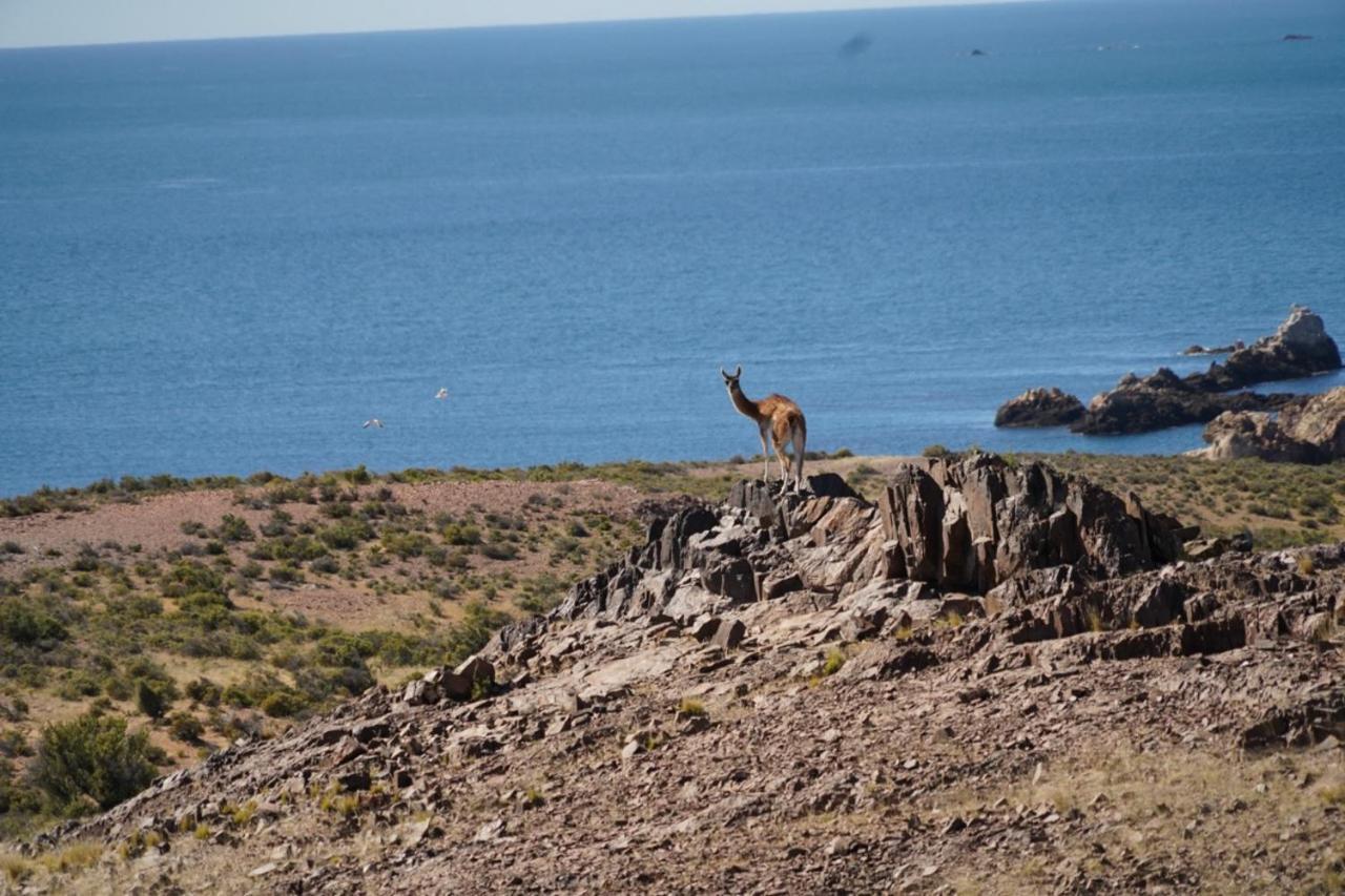 Estancia Tatay Trelew Eksteriør billede