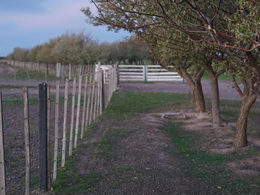 Estancia Tatay Trelew Eksteriør billede