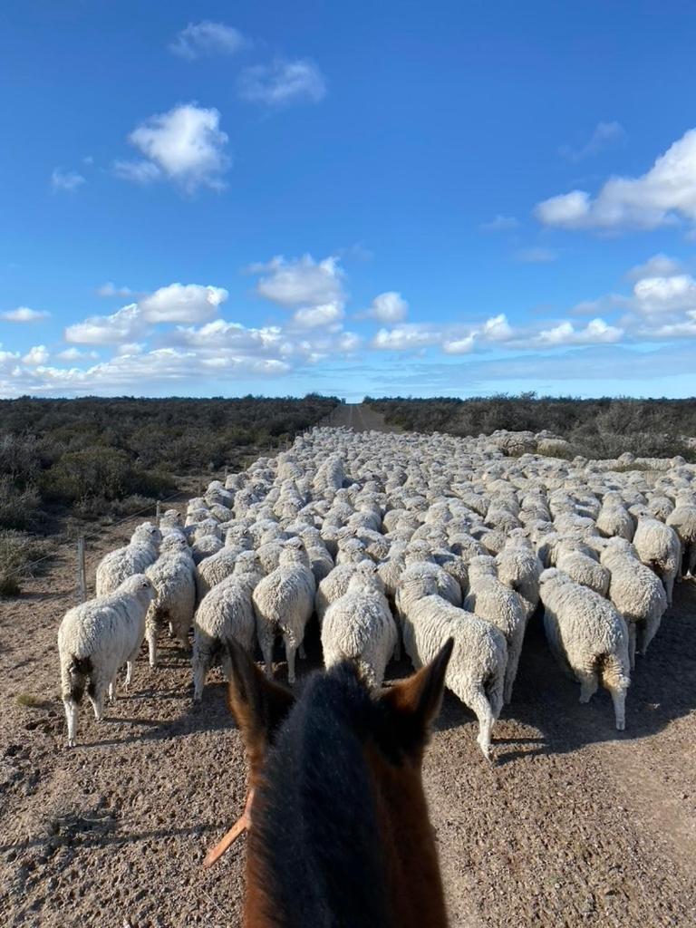 Estancia Tatay Trelew Eksteriør billede